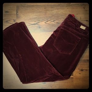 Gloria Vanderbilt Velvet Jeans
